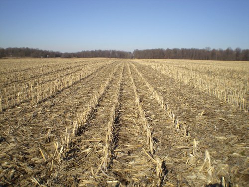 Property photo 29 - 159 Acres Offered in 7 Tracts